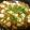 ウィンナ's cooksnap of when they made 初心者でも簡単★ヘルシー幸せの麻婆豆腐！.