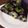 綸子*'s cooksnap of when they made ラップで簡単恵方巻き サラダ海鮮唐揚げ.