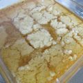 クックTW1J61☆'s cooksnap of when they made クスクスでバスブーサ.