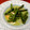 トクライ's cooksnap of when they made トルコ料理☆簡単ささげの前菜.