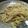 244R's cooksnap of when they made 節約！和風白菜パスタ.