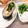 たま５３'s cooksnap of when they made 菜の花ごま和えヘルシー巻き寿司（恵方巻）.