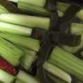 yukatan770727's cooksnap of when they made たっぷり野菜の酢漬け☆簡単漬けるだけ！.