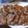アリスん's cooksnap of when they made レンコンとエビの落とし焼き.