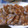 アリスん's cooksnap of when they made レンコンとエビの落とし焼き.
