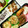 crystaI's cooksnap of when they made あさりの佃煮.