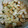 ユツカリンリン's cooksnap of when they made トロ〜りチーズの厚揚げ焼き.