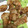 しゅんのいちごまま's cooksnap of when they made 簡単！揚げない唐揚げ ビニール袋で.