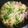 さいさいさいか's cooksnap of when they made やさしいお味　白菜と豚肉の玉子とじ.