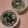 アクセル☆'s cooksnap of when they made 小松菜としらすのおひたし.
