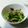 ﾏﾛﾝさん's cooksnap of when they made 春菊とハムの炒め物.