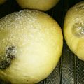 チョウロウ's cooksnap of when they made もっちもち♡湯種ミニ食パン.