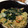 シエナ☆'s cooksnap of when they made 揚げない！簡単♪ソフトかた焼きそば.