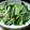 Ｆ，ＫＡＺＵＭＩ's cooksnap of when they made 小松菜ともやしの炒め物.