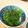 さちきち！'s cooksnap of when they made わさび菜のサラダ.