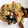 erisimo's cooksnap of when they made パエリア 炊飯器で簡単！！.