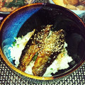ｷﾐ☆'s cooksnap of when they made 絶妙甘辛タレのイワシの蒲焼き丼.