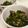 ぶきっちょちぃちゃん's cooksnap of when they made 簡単☆ほうれん草と納豆の海苔和え.