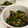 ぶきっちょちぃちゃん's cooksnap of when they made 簡単☆ほうれん草と納豆の海苔和え.