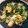 papom816's cooksnap of when they made 春の恵み　簡単！菜の花のおひたし風炒め　.