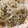 クックZ8J4H4☆'s cooksnap of when they made ツナ缶と白滝の煮物.