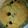 そっら's cooksnap of when they made ホットケーキミックスで◎おからマフィン.