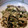 美味しい嬉しい's cooksnap of when they made ふきのとうの卵とじ.