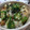 fruitscult's cooksnap of when they made ホタテとオクラの梅和え.