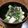 kisala's cooksnap of when they made 春菊と山芋の塩麹を使ったサラダ.