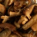うめねず's cooksnap of when they made 簡単にできる 干し椎茸の甘煮.