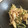 さぃたん's cooksnap of when they made 柚子風味★きゅうりとえのきの和え物.
