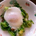 ハッピーミルクティー's cooksnap of when they made 千切りキャベツの巣ごもり.