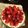 mikkkkun's cooksnap of when they made いちごのタルト.