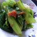 ユーロン's cooksnap of when they made からしがおいしぃ♪青梗菜の辛し和え♪.