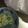 nobico2007's cooksnap of when they made 簡単～な蟹酢.
