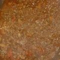 オトカ's cooksnap of when they made イノシシ肉のラグーパスタ(ボロネーゼ)☆.
