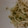 かおりん0711's cooksnap of when they made もやしとツナの和え物.