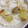 よりぴ＊'s cooksnap of when they made さつま芋ごはん炊きました。.