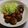 スピコちゃん's cooksnap of when they made 鶏だんごでアメリカンドック.
