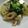 クックO3IIRY☆'s cooksnap of when they made チンゲン菜とちくわ◎簡単煮.