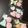 あおい♫'s cooksnap of when they made 桜のアイシングクッキー.