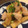 tomoyo0722's cooksnap of when they made 高野豆腐ととりむね肉のこってり炒め.