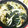 ユーロン's cooksnap of when they made かつお出汁が効いてる和風うどん☆.