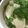 おさかな♡ママン's cooksnap of when they made ■簡単副菜■かぶ浅漬けナムル☆お弁当朝昼.