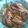 plea's cooksnap of when they made ネギチャーシュー丼.