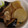 クックANLLO1☆'s cooksnap of when they made かすべ（赤エイ）の煮つけ.