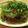 にじゆめa's cooksnap of when they made 大根おろしソース[ﾊﾝﾊﾞｰｸﾞ].