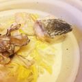naoco_ny's cooksnap of when they made 水をほどんど使わない鮭と白菜のクリーム煮.