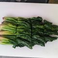 ももんじゃー's cooksnap of when they made ＊茹で方＆保存法！小松菜・ほうれん草＊.