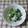 アタックひめちゃん's cooksnap of when they made パパっと！菜の花の辛子マヨ和え.